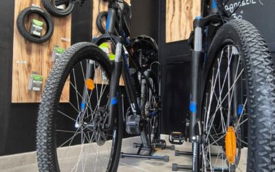 La Mobilité Électrique à Portée de Pédale : Louez un Vélo Électrique Chez Nous